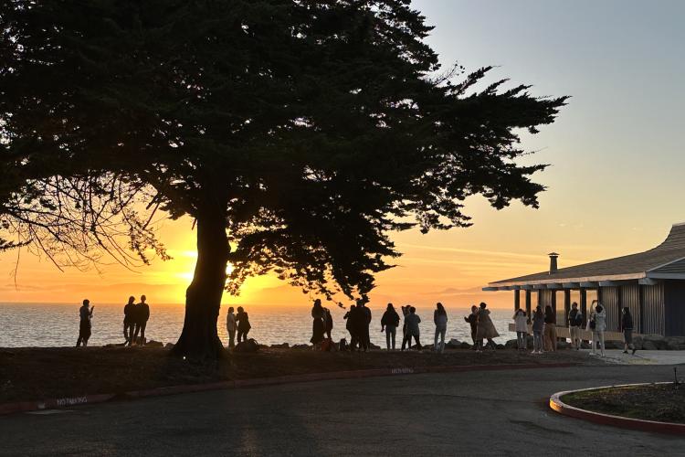 Sunset at the Marina
